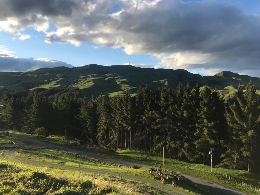Holiday home Rural Retreat With The Incredible Views! Kahuranaki